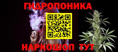 мдпв Пугачёв