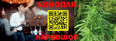 мдпв Пугачёв