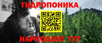 мдпв Пугачёв