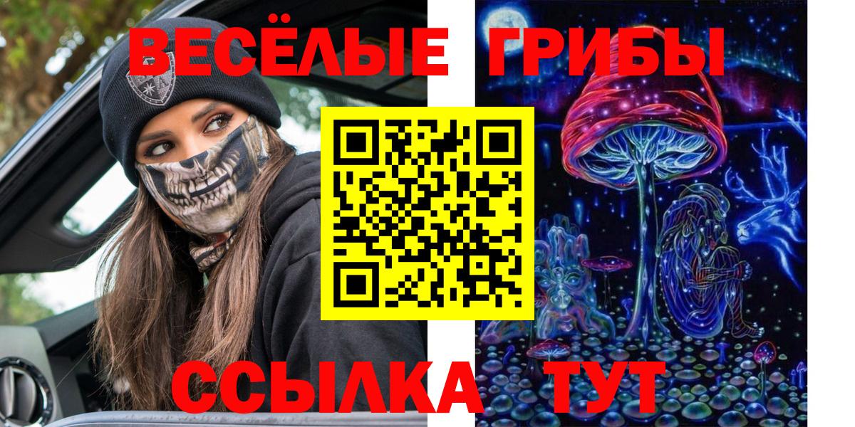 Псилоцибиновые грибы Psilocybine cubensis  Вход с VPN  Псилоцибиновые грибы Psilocybe  Россия 
