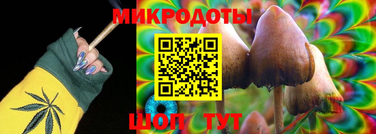 Псилоцибиновые грибы Cubensis Россия